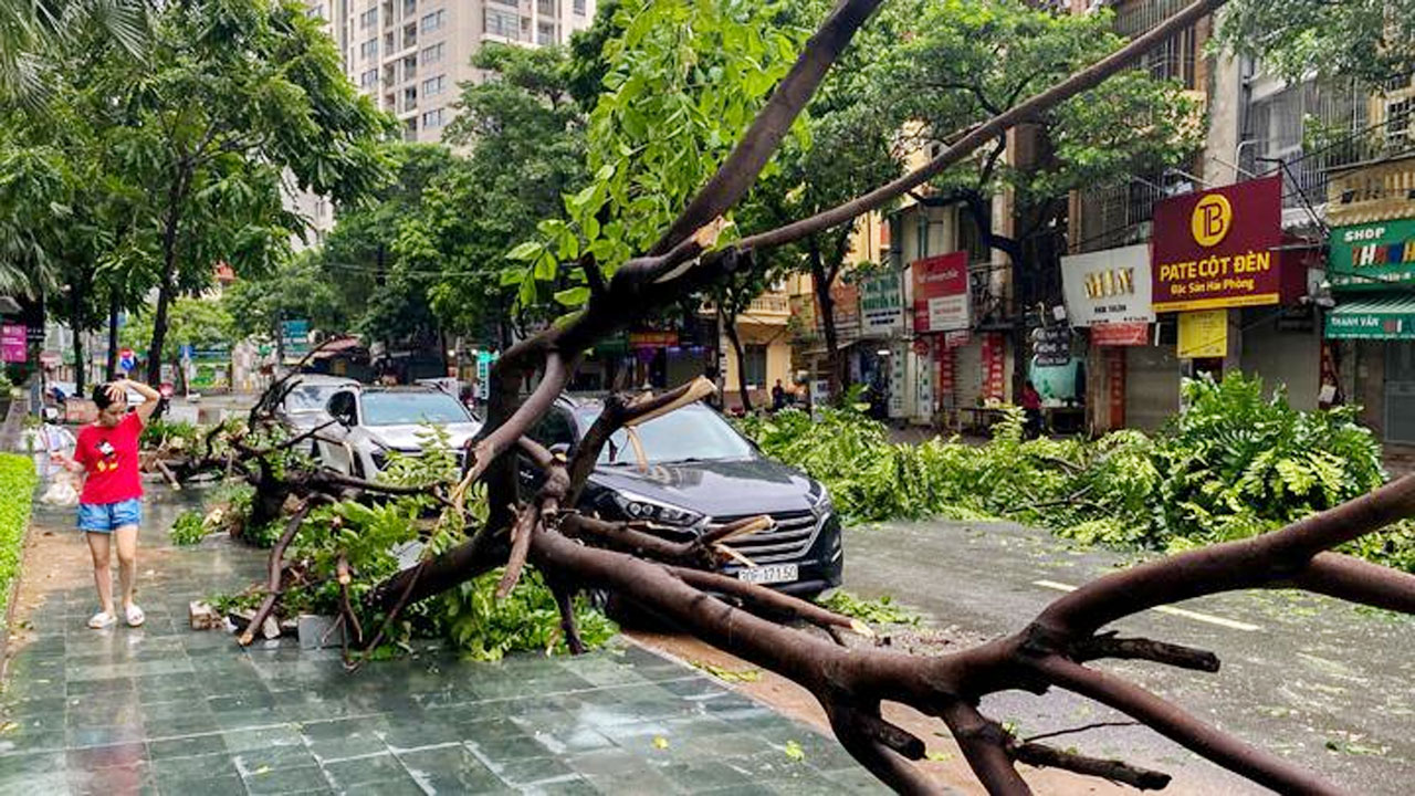 ভিয়েতনামে অন্তত ১৭৯ জনের প্রাণ কেড়ে নিলো ঘূর্ণিঝড় ইয়াগি